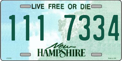 NH license plate 1117334