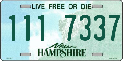NH license plate 1117337