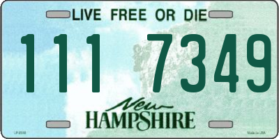 NH license plate 1117349