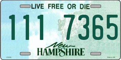 NH license plate 1117365