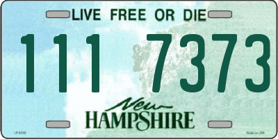 NH license plate 1117373