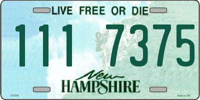 NH license plate 1117375