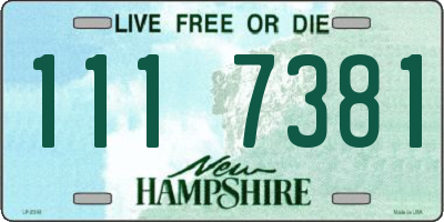NH license plate 1117381