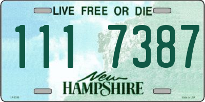 NH license plate 1117387