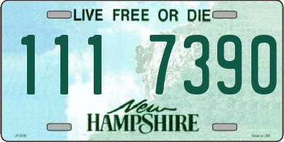 NH license plate 1117390
