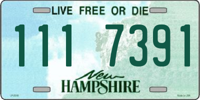 NH license plate 1117391