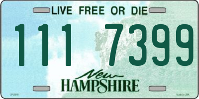 NH license plate 1117399