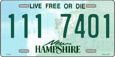 NH license plate 1117401
