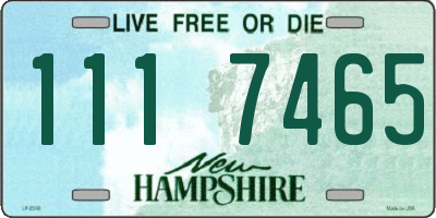 NH license plate 1117465