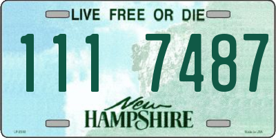 NH license plate 1117487