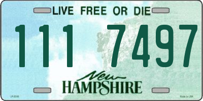 NH license plate 1117497