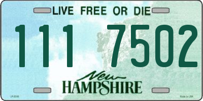 NH license plate 1117502