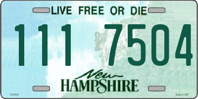 NH license plate 1117504