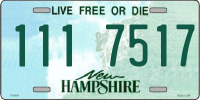 NH license plate 1117517