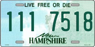 NH license plate 1117518