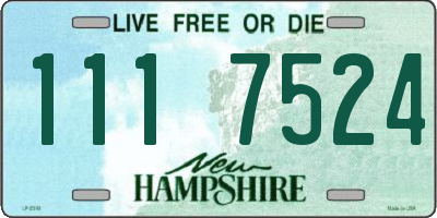 NH license plate 1117524