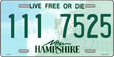 NH license plate 1117525