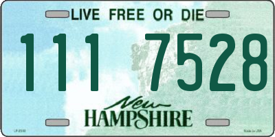 NH license plate 1117528