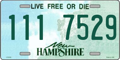 NH license plate 1117529
