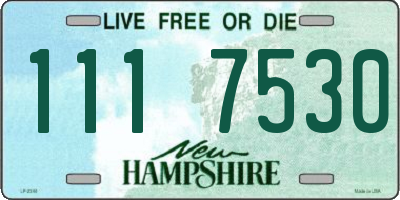 NH license plate 1117530