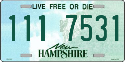 NH license plate 1117531