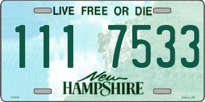 NH license plate 1117533