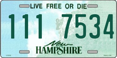 NH license plate 1117534