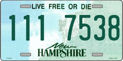 NH license plate 1117538