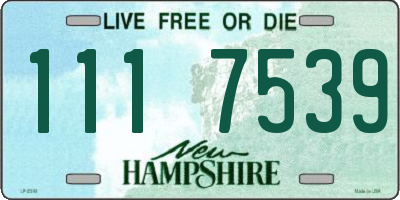 NH license plate 1117539