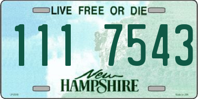NH license plate 1117543