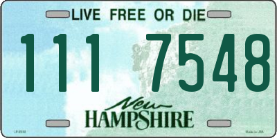 NH license plate 1117548