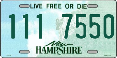 NH license plate 1117550