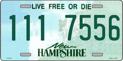 NH license plate 1117556