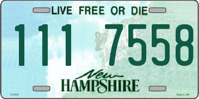 NH license plate 1117558