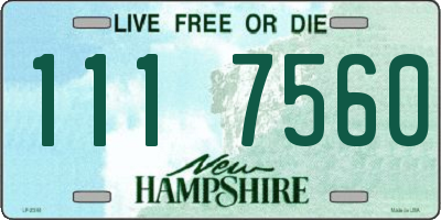 NH license plate 1117560