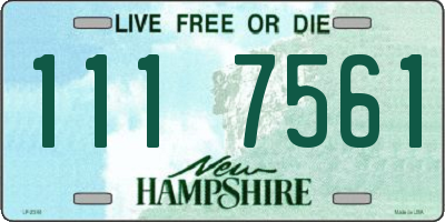 NH license plate 1117561