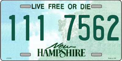 NH license plate 1117562