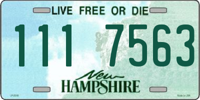 NH license plate 1117563