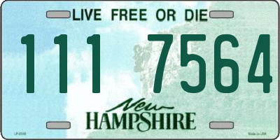NH license plate 1117564