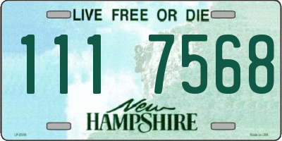 NH license plate 1117568