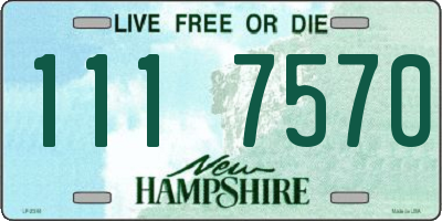 NH license plate 1117570
