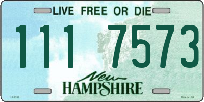 NH license plate 1117573