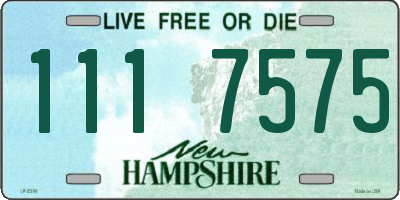 NH license plate 1117575