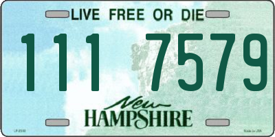 NH license plate 1117579