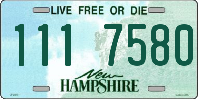 NH license plate 1117580