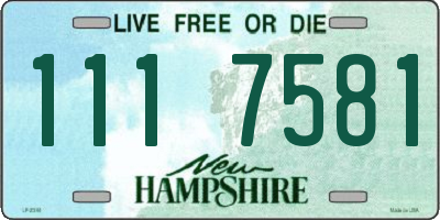 NH license plate 1117581