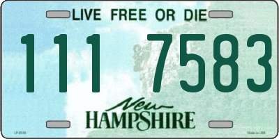 NH license plate 1117583