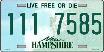 NH license plate 1117585