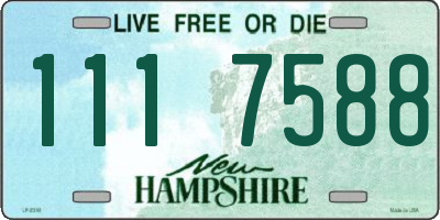 NH license plate 1117588