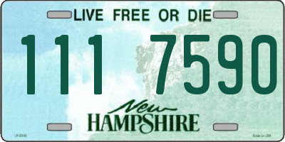 NH license plate 1117590